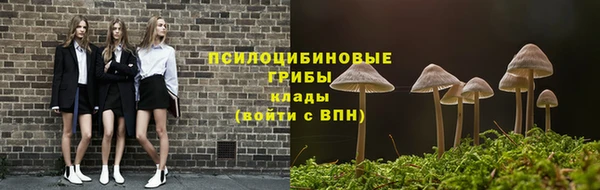 2c-b Ладушкин