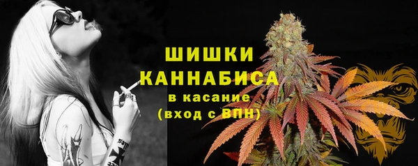 стаф Лагань