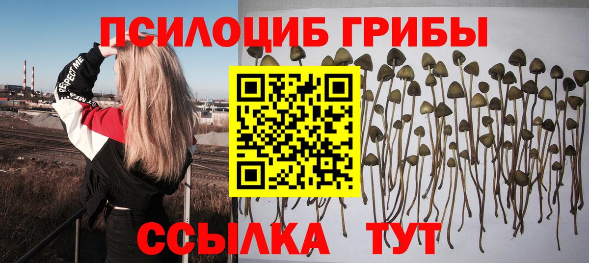 Псилоцибиновые грибы Cubensis  Вход с VPN  Сызрань 