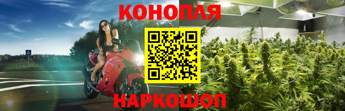 МАРИХУАНА SATIVA & INDICA Сызрань